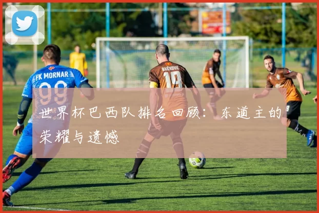 世界杯巴西队排名回顾：东道主的荣耀与遗憾