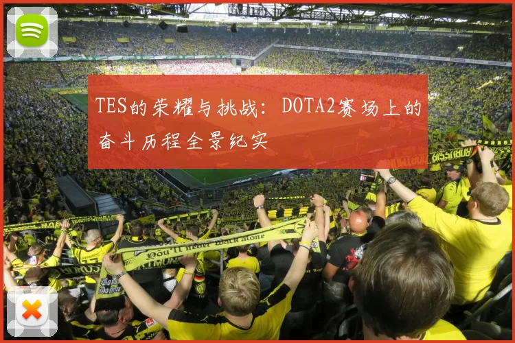 TES的荣耀与挑战：DOTA2赛场上的奋斗历程全景纪实