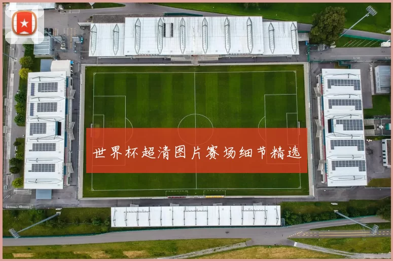 世界杯超清图片赛场细节精选