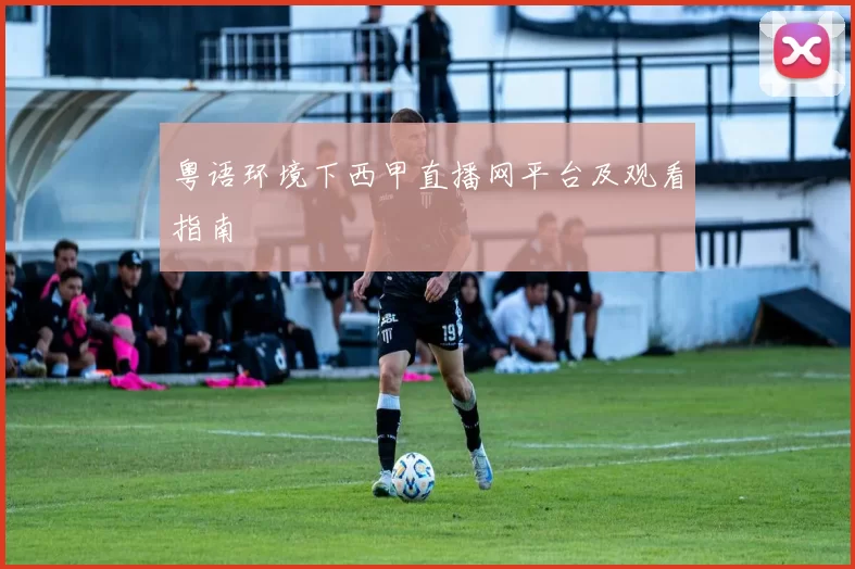 粤语环境下西甲直播网平台及观看指南