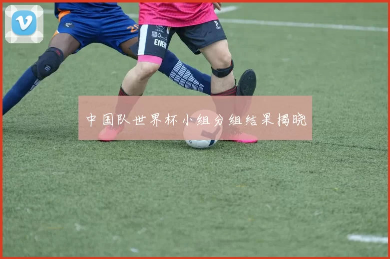 中国队世界杯小组分组结果揭晓