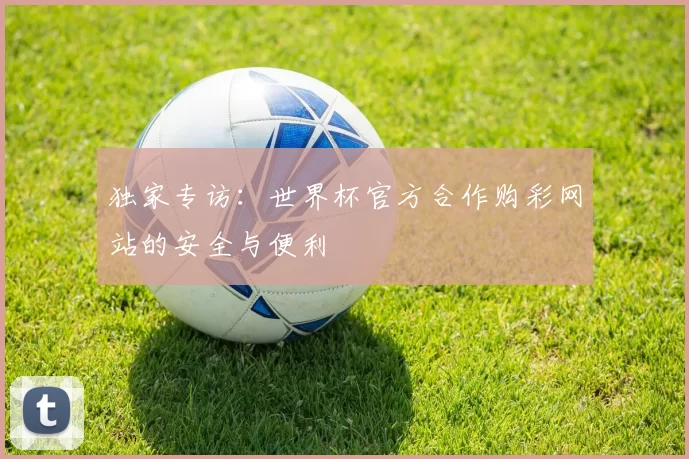 独家专访：世界杯官方合作购彩网站的安全与便利