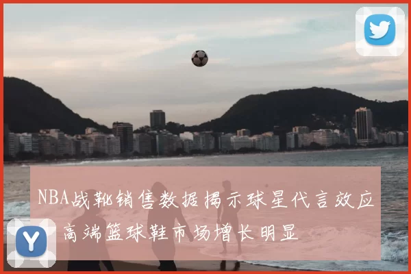 NBA战靴销售数据揭示球星代言效应，高端篮球鞋市场增长明显