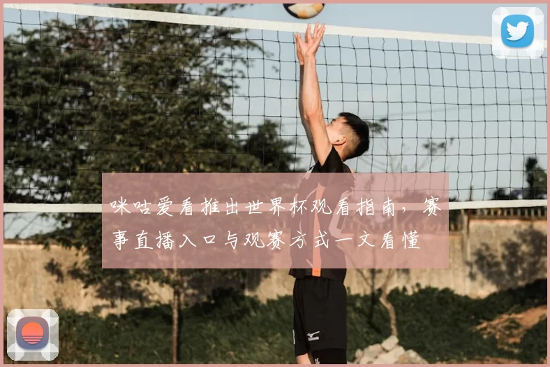 咪咕爱看推出世界杯观看指南，赛事直播入口与观赛方式一文看懂