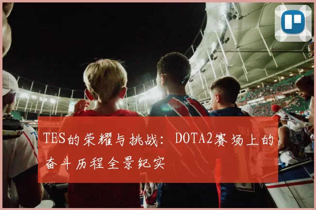 TES的荣耀与挑战：DOTA2赛场上的奋斗历程全景纪实