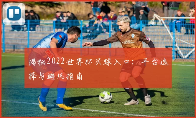 揭秘2022世界杯买球入口：平台选择与避坑指南
