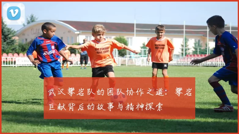 武汉攀岩队的团队协作之道：攀岩巨献背后的故事与精神探索