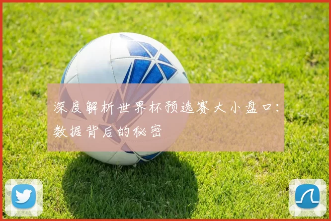 深度解析世界杯预选赛大小盘口：数据背后的秘密