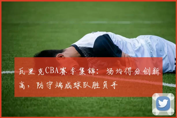 瓦里克CBA赛季集锦：场均得分创新高，防守端成球队胜负手