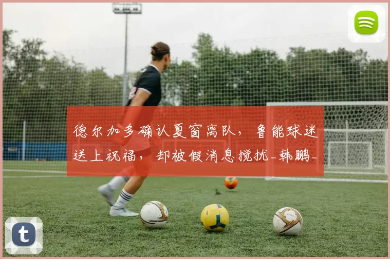 德尔加多确认夏窗离队，鲁能球迷送上祝福，却被假消息搅扰_韩鹏_上港_王振