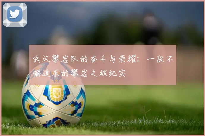 武汉攀岩队的奋斗与荣耀：一段不懈追求的攀岩之旅纪实