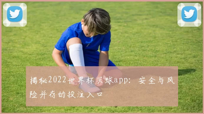 揭秘2022世界杯买球app：安全与风险并存的投注入口