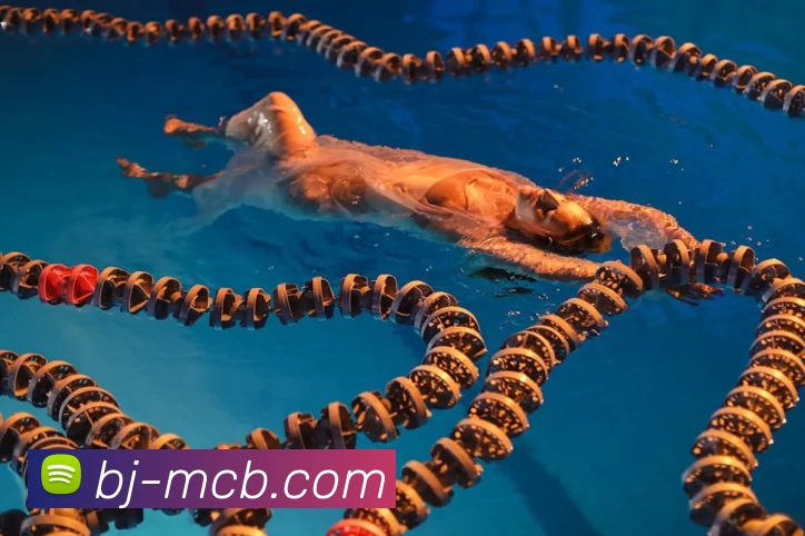 爱游戏官网服务体系